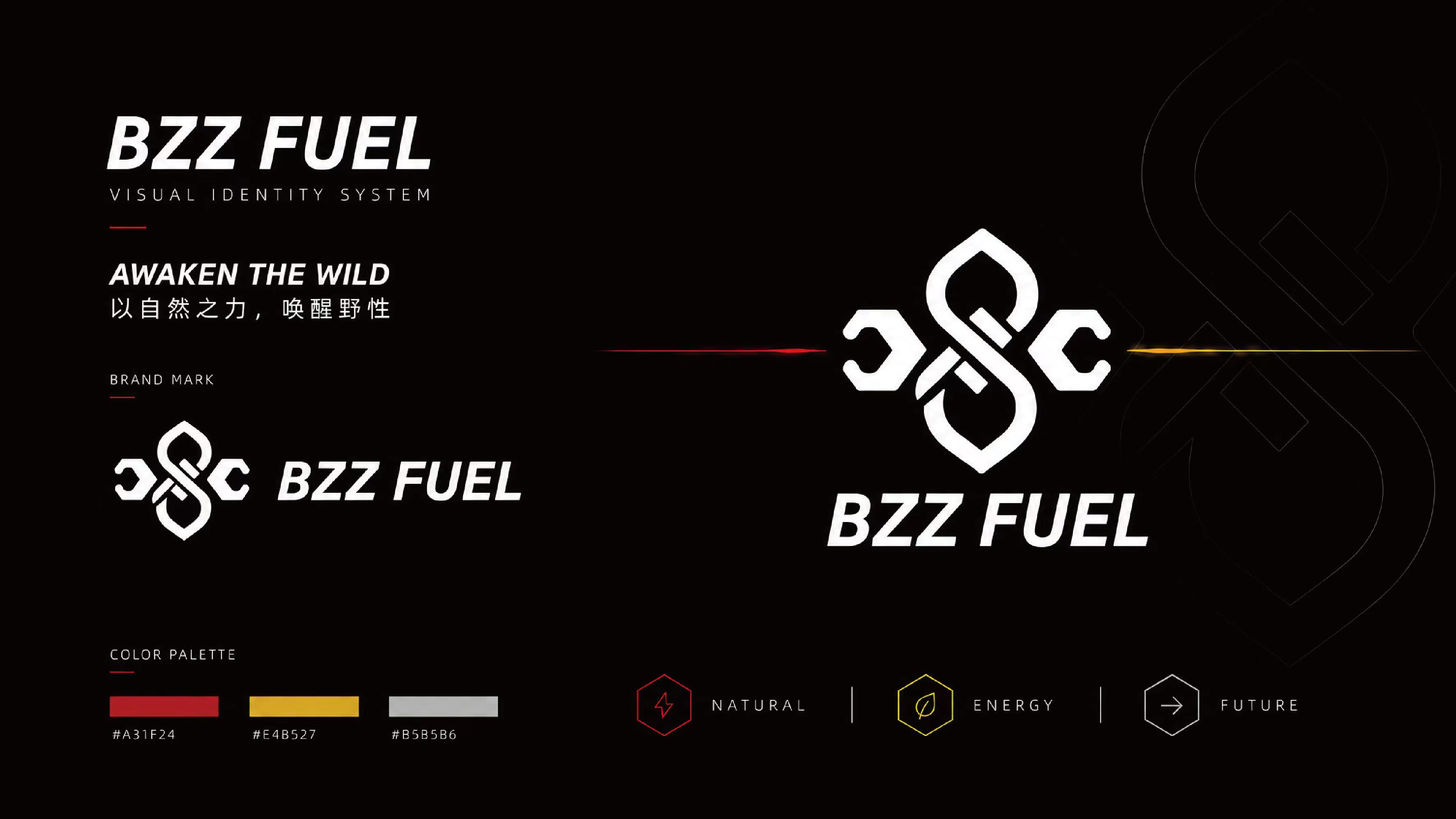 BZZFUEL 品牌视觉系统与品牌标志